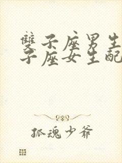 双子座男生和双子座女生配对指数