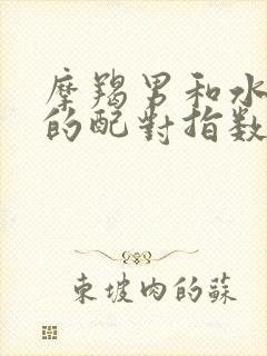 摩羯男和水瓶女的配对指数