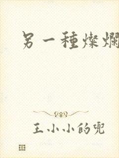 另一种灿烂生活