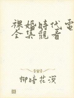 裸婚时代电视剧全集观看