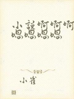 小说啊啊啊嗯嗯嗯嗯嗯嗯