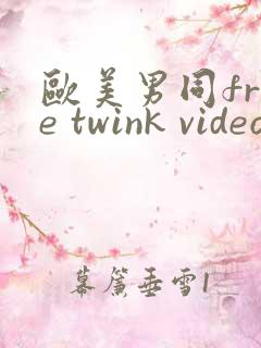 欧美男同free twink videos