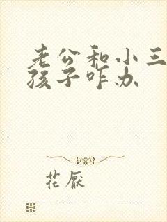 老公和小三有了孩子咋办