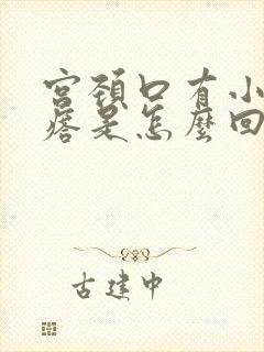 宫颈口有小 疙瘩是怎么回事