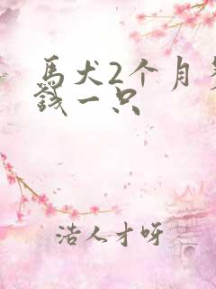 马犬2个月多少钱一只