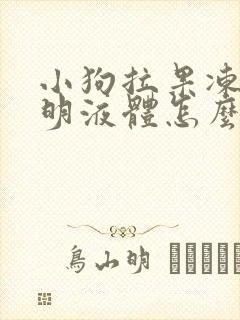 小狗拉果冻状透明液体怎么回事