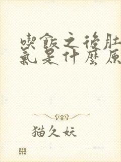 吃饭之后肚子胀气是什么原因