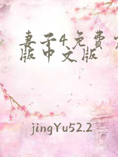 妻子4免费完整版中文版