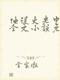 他从火光中走来全文小说免费阅读全文