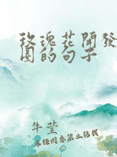 玫瑰花开发朋友圈的句子