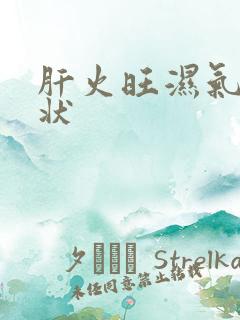 肝火旺湿气重症状