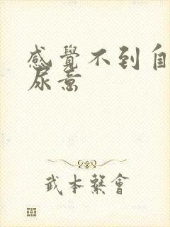 感觉不到自己有尿意