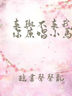 来与不来我都等你原唱小马哥