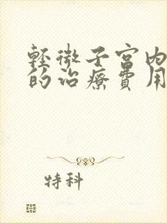 轻微子宫内膜炎的治疗费用