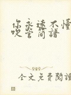 你永远不懂我电吹管简谱