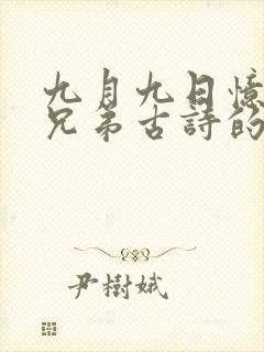 九月九日忆山东兄弟古诗的节奏划分