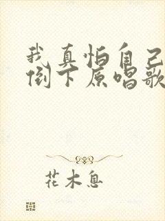 我真怕自己哪天倒下原唱歌词