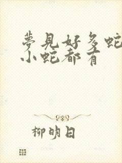 梦见好多蛇大蛇小蛇都有