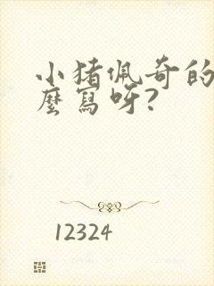 小猪佩奇的佩怎么写呀?