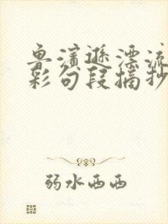 鲁滨逊漂流记精彩句段摘抄