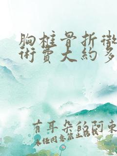 胸椎骨折微创手术费大约多少