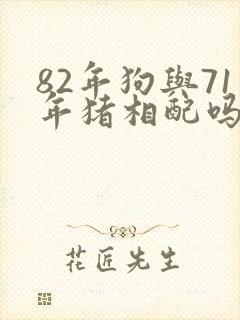 82年狗与71年猪相配吗