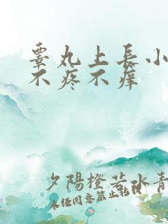 睾丸上长小疙瘩不疼不痒