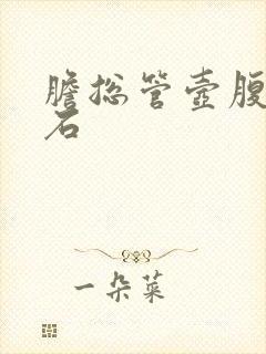 胆总管壶腹部结石