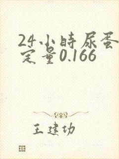 24小时尿蛋白定量0.166