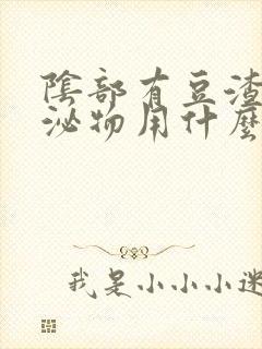 阴部有豆渣样分泌物用什么药