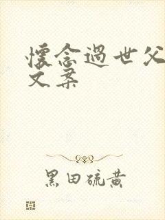 怀念过世父亲的文案