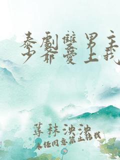 泰剧双男主黑帮少爷爱上我