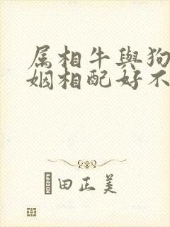 属相牛与狗的婚姻相配好不好