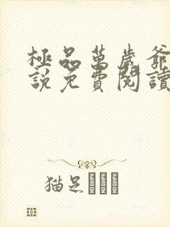 极品万岁爷 小说免费阅读