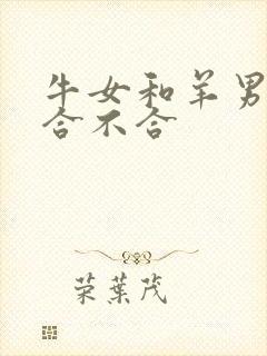 牛女和羊男属相合不合