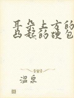 耳朵上方的头部凸起的硬包