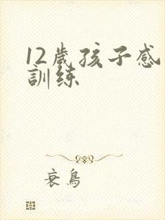 12岁孩子感统训练