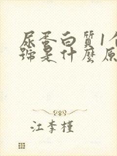 尿蛋白质1个加号是什么原因