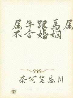 属牛跟马属相合不合婚姻