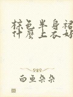 棕色半身裙搭配什么上衣好看