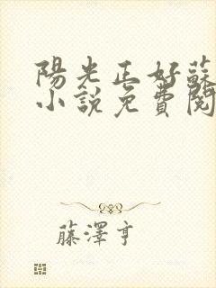 阳光正好苏玥玥小说免费阅读无弹窗