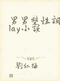 男男双性调教play小说