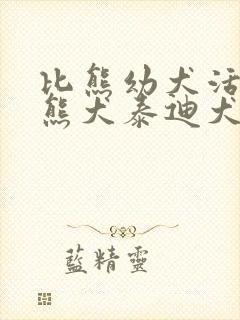 比熊幼犬活体比熊犬泰迪犬小型犬茶杯犬