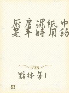 厨房湿纸巾好还是平时用的湿纸好