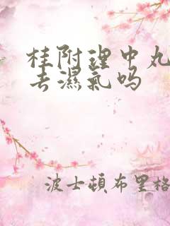 桂附理中丸可以去湿气吗