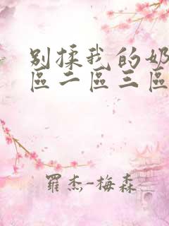 别揉我的奶头一区二区三区18禁