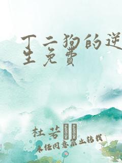 丁二狗的逆袭人生免费