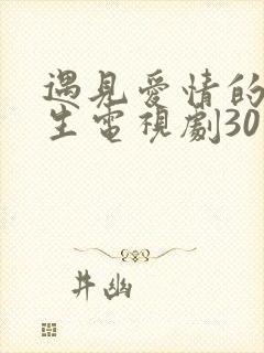 遇见爱情的利先生电视剧30集