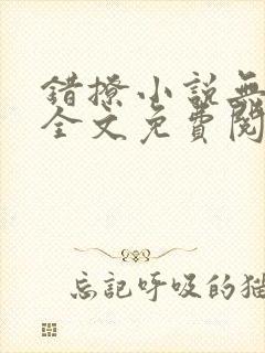 错撩小说无删减全文免费阅读