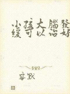 小孩大脑发育迟缓可以治好吗